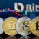 bitsofreepik