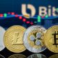 bitsofreepik